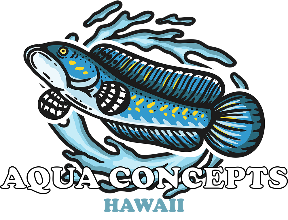 Aqua Concepts